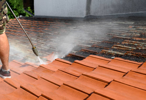 Best House Pressure Washing  in Lake Shastina, CA